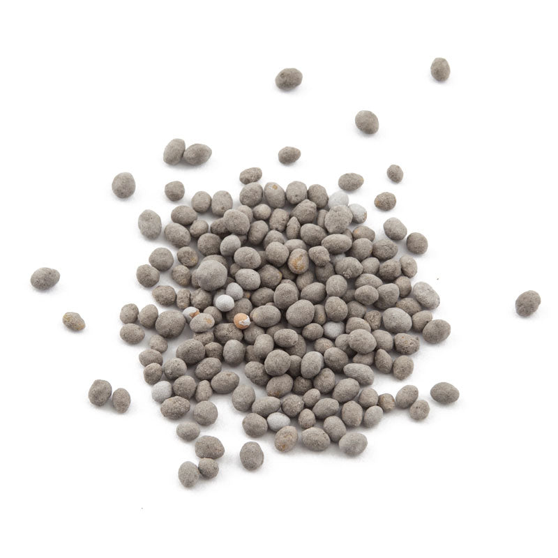 Peaceful Valley Easy Care Cover Crop Mix - Nitrocoated Seed (lb) Peaceful Valley