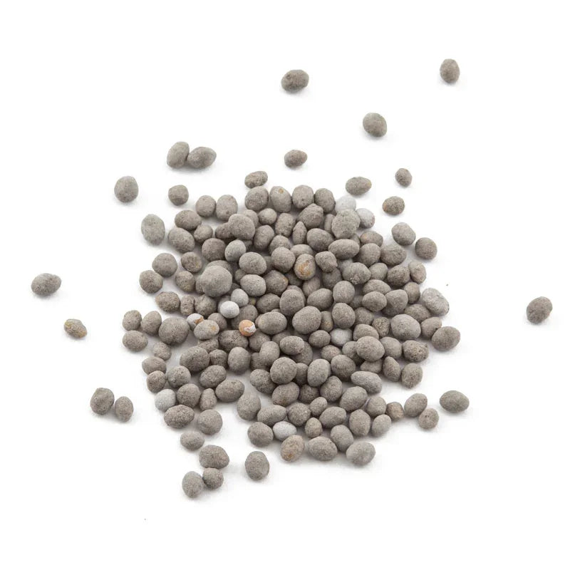 Peaceful Valley Easy Care Cover Crop Mix - Nitrocoated Seed (lb) Peaceful Valley