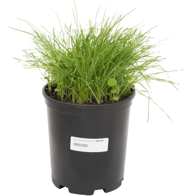 Peaceful Valley Basic Erosion Control Mix - Nitrocoated Seed (lb) Peaceful Valley
