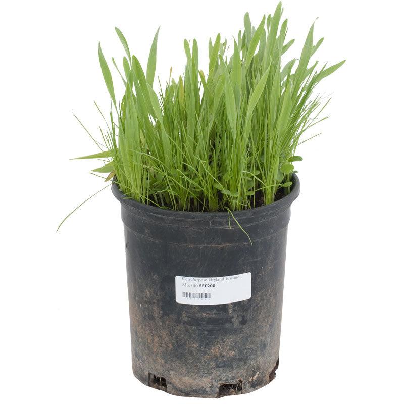 Peaceful Valley General Purpose Erosion Mix - Nitrocoated Seed (lb) Peaceful Valley