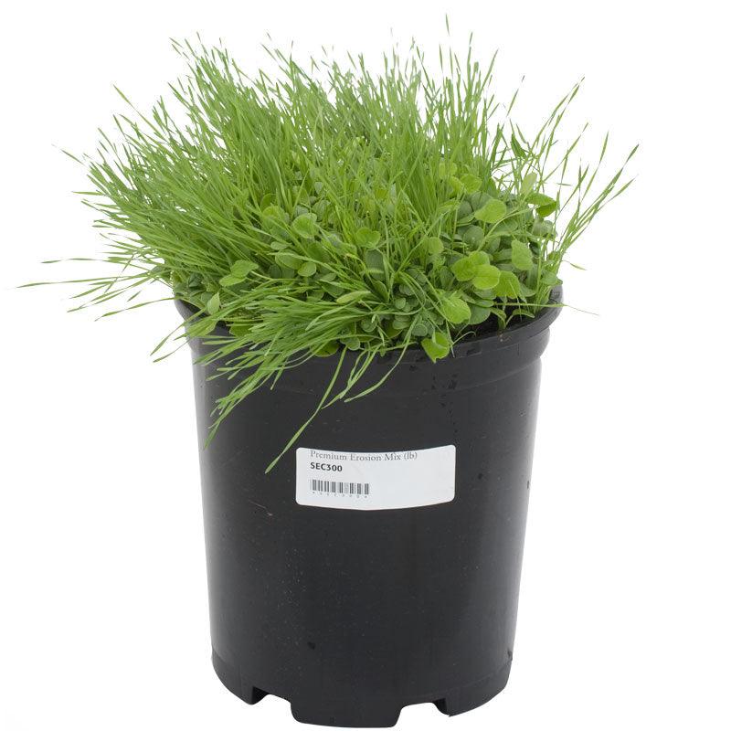 Peaceful Valley Premium Erosion Mix - Nitrocoated Seed (lb) Peaceful Valley