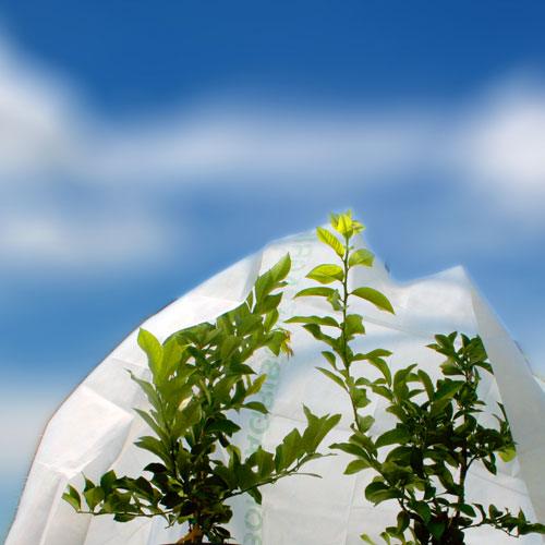 Agribon Frost Blanket - Medium (14'X14') Pack of 2 Agribon