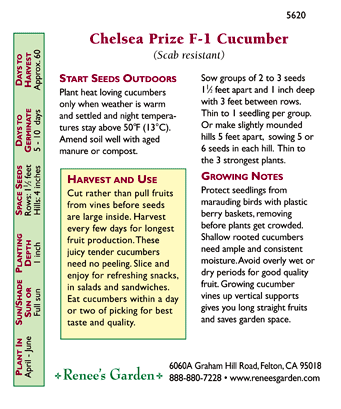Chelsea Prize English Cucumber Seeds Renee's Garden