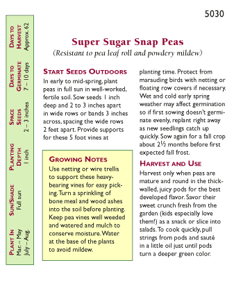 Pea Snap Super Sugar Seeds Renee's Garden