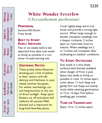 Renee's Garden Feverfew Double White Wonder - Grow Organic Renee's Garden Feverfew Double White Wonder Flower Seed & Bulbs