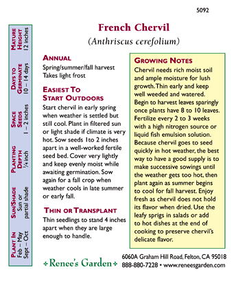 French Chervil Seeds Renee's Garden