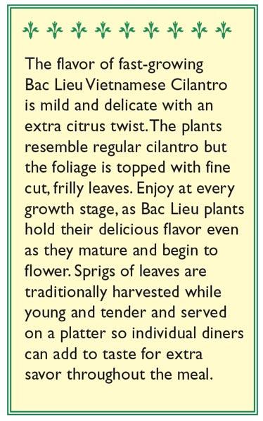 Bac Lieu Vietnamese Cilantro Seeds Renee's Garden