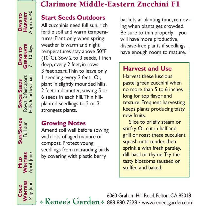 Mid-East Clarimore Zucchini Summer Squash Seeds Renee's Garden