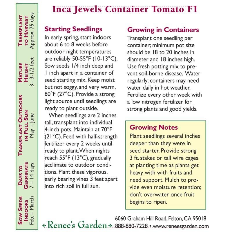 Inca Jewels Roma Container Tomato Seeds Renee's Garden
