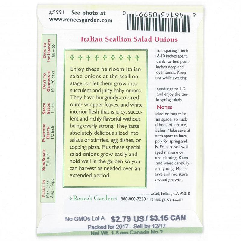 Italian Scallion Onion Seeds Renee's Garden