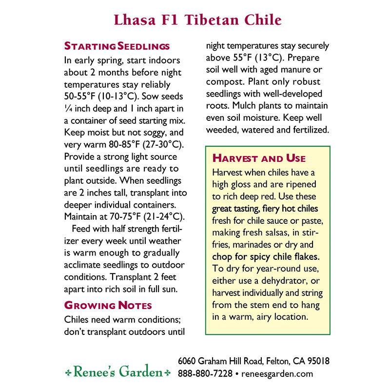 Lhasa Tibetan Chile Pepper Seeds Renee's Garden