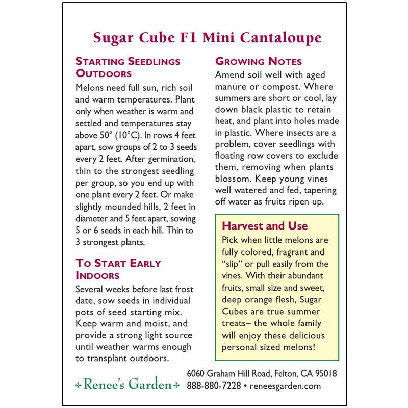 Melon Cantaloupe Mini Sugar Cube Seeds Renee's Garden