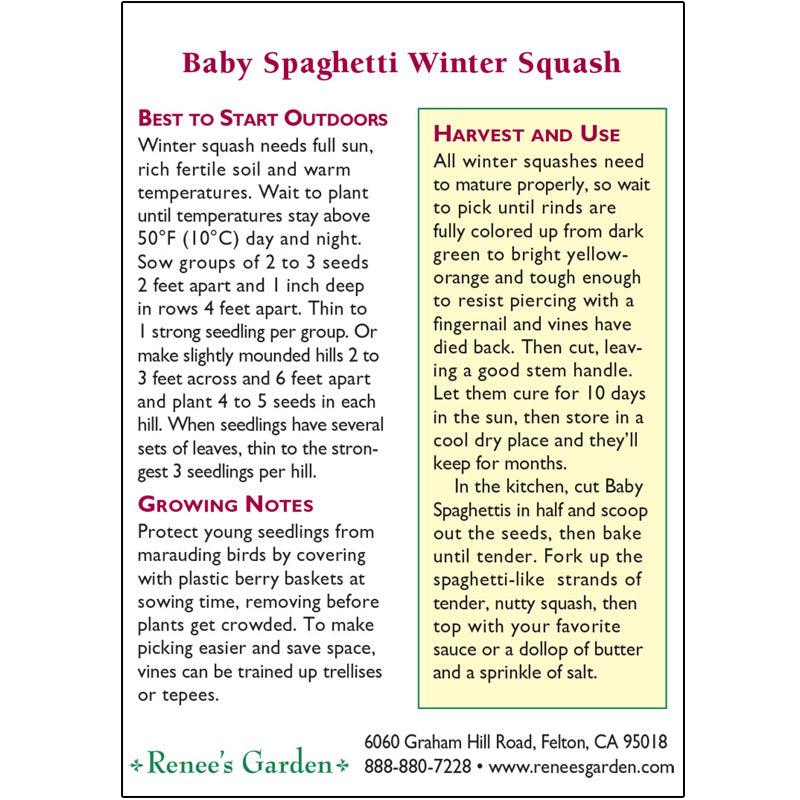 Renee's Garden Squash Winter Baby Spaghetti - Grow Organic Renee's Garden Squash Winter Baby Spaghetti Vegetable Seeds