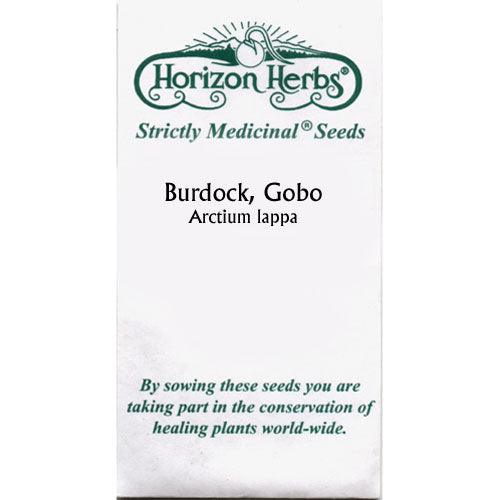 Gobo Burdock Seeds (Organic) Strictly Medicinal