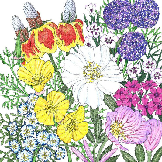 Southwest Wildflower Mix (1/4 lb) Peaceful Valley