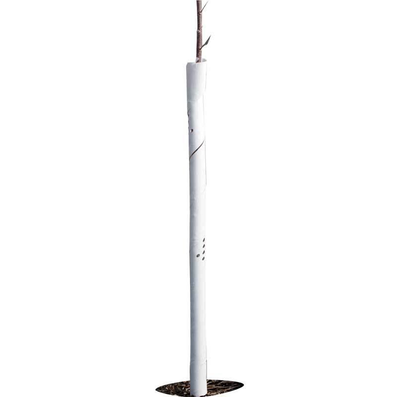Spiral Tree Guards - 24" (Pack of 5) Grow Organic