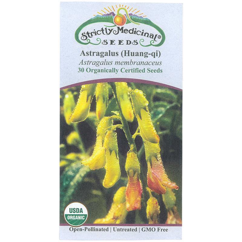 Astragalus Seeds (Organic) Strictly Medicinal