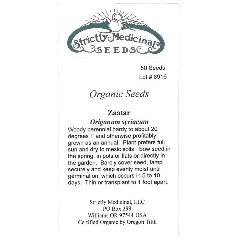 zaatar seeds for planting Zaatar Seeds (Organic)