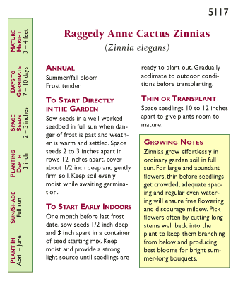 Raggedy Anne Cactus Zinnia Flower Seeds Renee's Garden