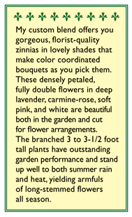 Renee's Garden Cutting Zinnia Cool Crayon Colors Renee's Garden Cutting Zinnia Cool Crayon Colors Flower Seed & Bulbs