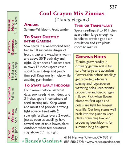 Cool Crayon Colors Cutting Zinnia Flower Seed Mix Renee's Garden