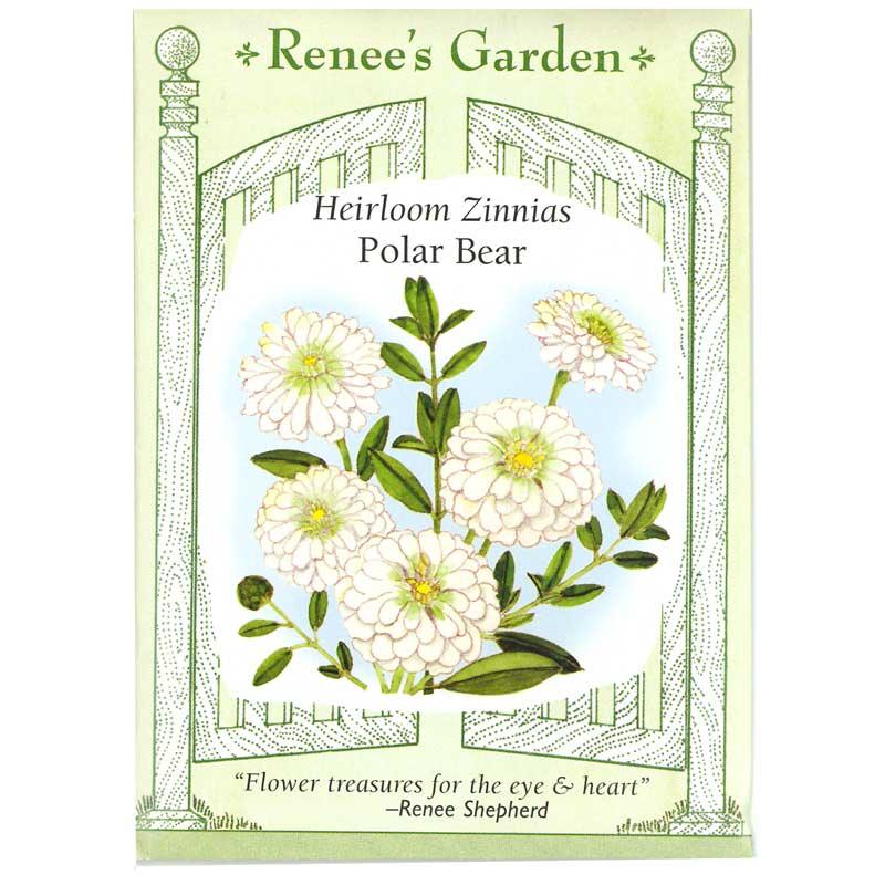 Polar Bear Zinnia Flower Seeds Renee's Garden