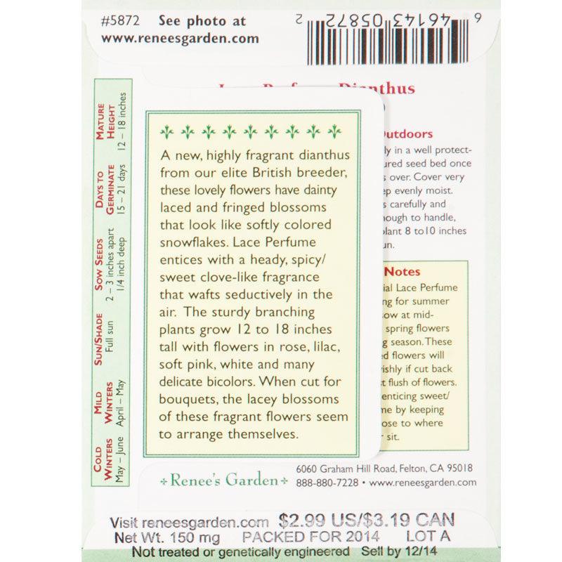 Renee's Garden Dianthus Fragrant Lace Perfume - Grow Organic Renee's Garden Dianthus Fragrant Lace Perfume Flower Seed & Bulbs