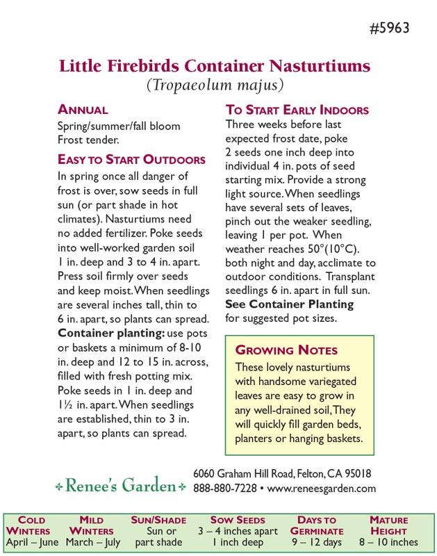 Little Firebirds Hanging Basket Nasturtiums Flower Seeds Renee's Garden
