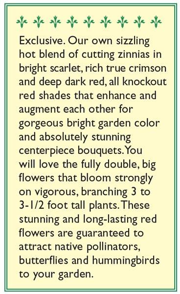Moulin Rouge Cutting Zinnia Flower Seeds Renee's Garden