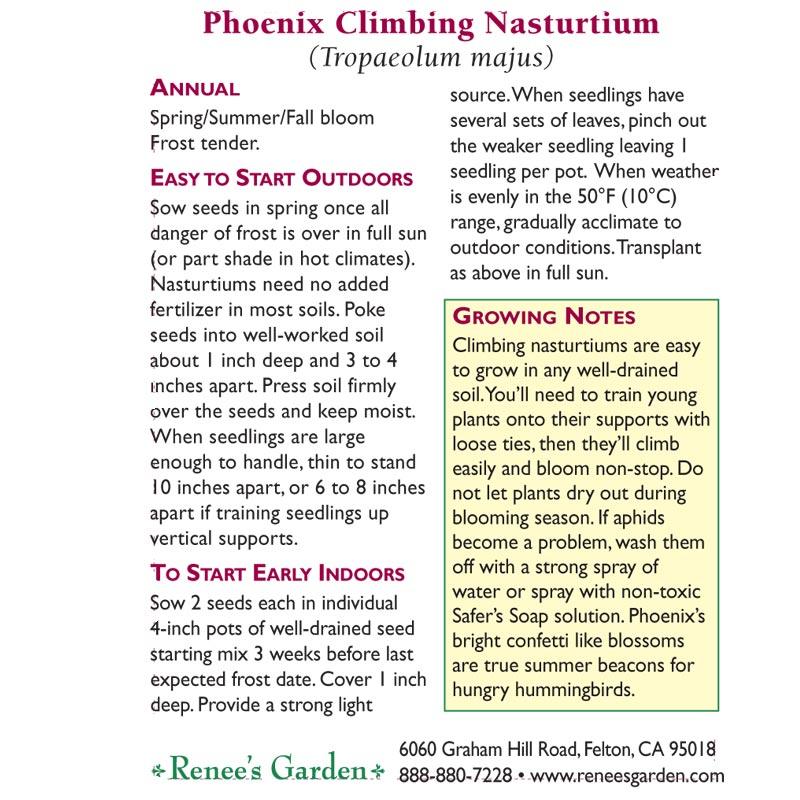 Phoenix Climbing Nasturtium Flower Seeds Renee's Garden