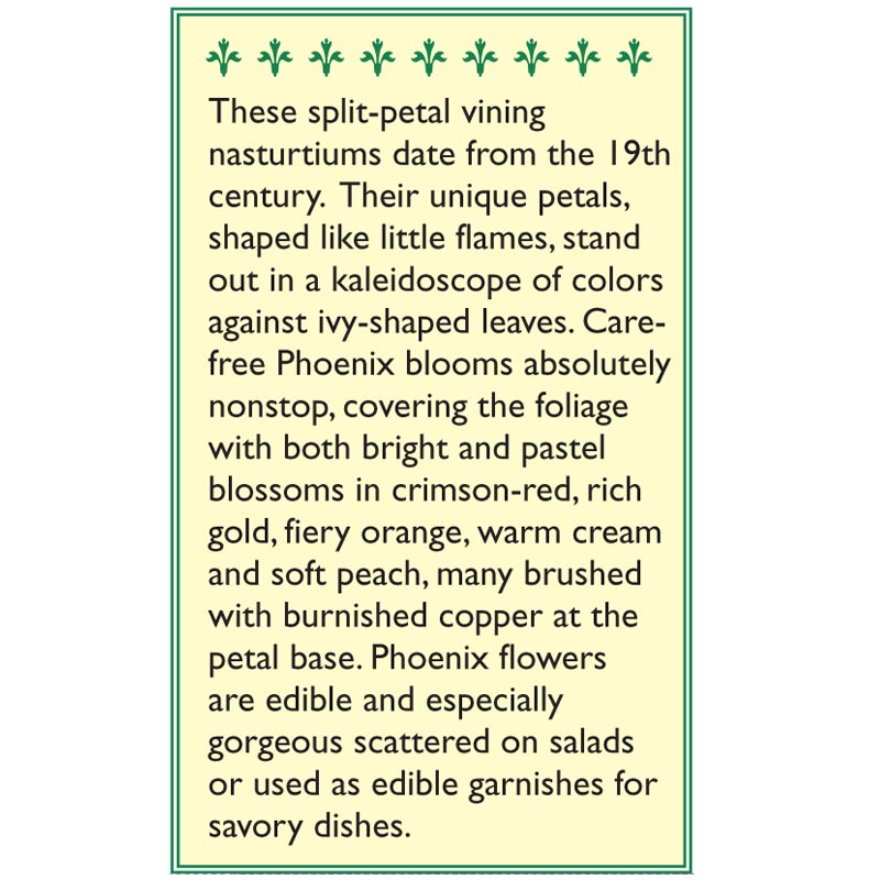 Renee's Garden Nasturtium Climbing Phoenix - Grow Organic Renee's Garden Nasturtium Climbing Phoenix Flower Seed & Bulbs
