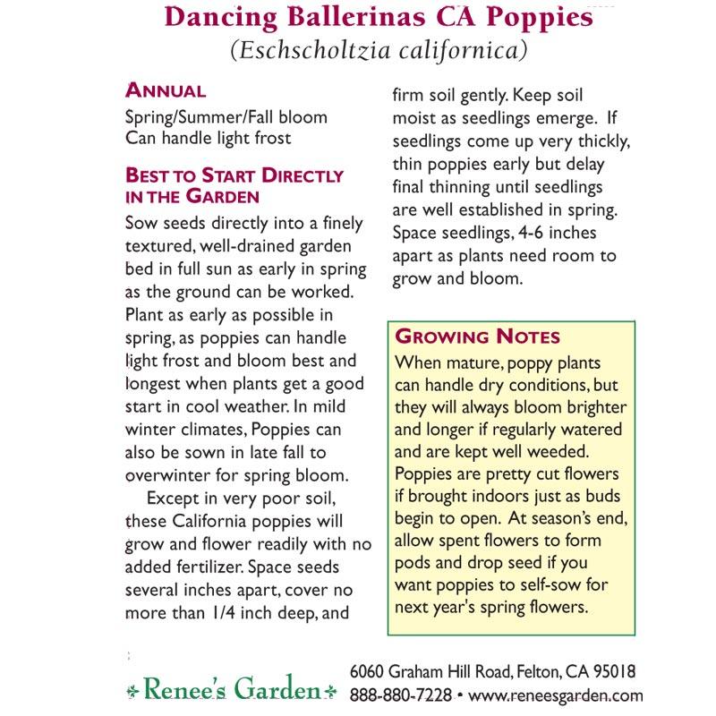 Dancing Ballerinas California Poppy Flower Seeds Renee's Garden