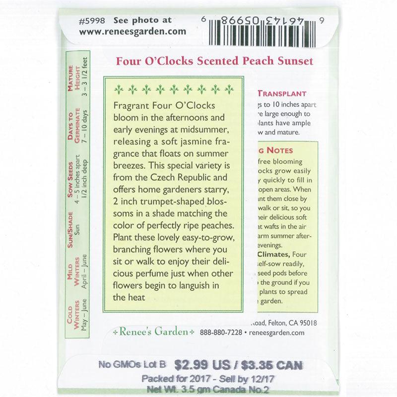 Peach Sunset Scented Four O'Clock Flower Seeds Renee's Garden