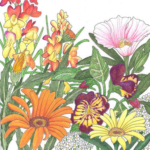 Low Growing Wildflower Mix (pack) Peaceful Valley