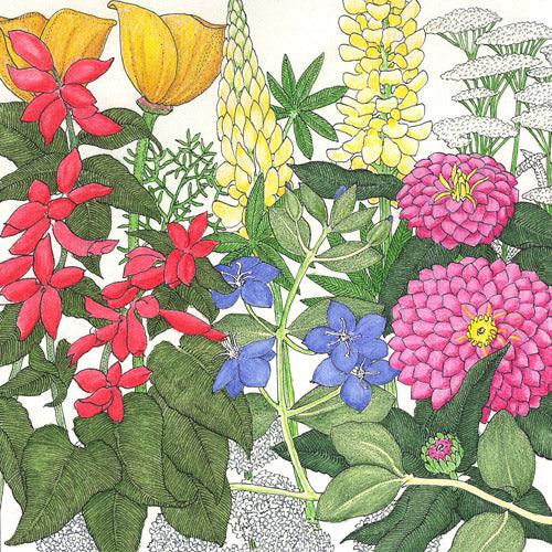Deer Proof Garden Wildflower Mix (pack) Peaceful Valley