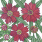 Coreopsis, Dwarf Plains Red (pack) - Grow Organic Coreopsis, Dwarf Plains Red (pack) Flower Seed & Bulbs
