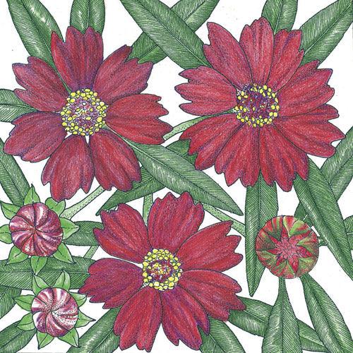 Coreopsis, Dwarf Plains Red (pack) Peaceful Valley