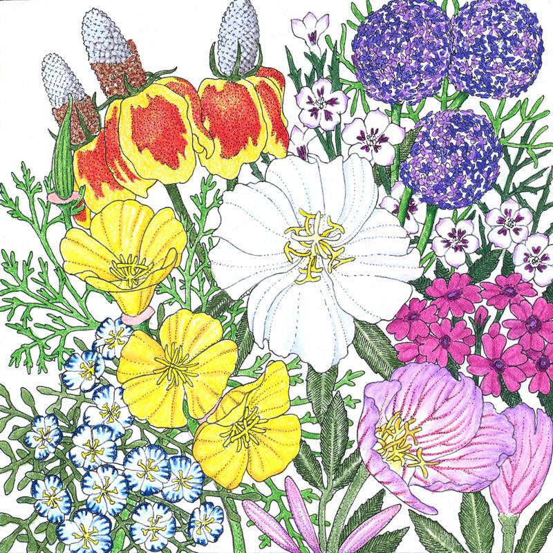 Southwest Wildflower Mix (Pack) Peaceful Valley