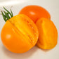 Organic Tomato, Valencia (1 oz) - Grow Organic Organic Tomato, Valencia (1 oz) Vegetable Seeds