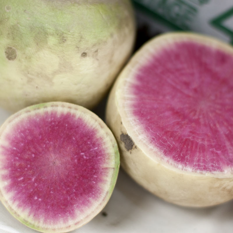 Organic Radish, Watermelon (1 oz) - Grow Organic Organic Radish, Watermelon (1 oz) Vegetable Seeds