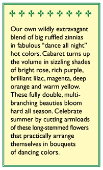 Renee's Garden Double Cutting Zinnia Cabaret - Grow Organic Renee's Garden Double Cutting Zinnia Cabaret Flower Seed & Bulbs