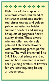 Hot Crayon Colors Cutting Zinnia Flower Seed Mix Renee's Garden
