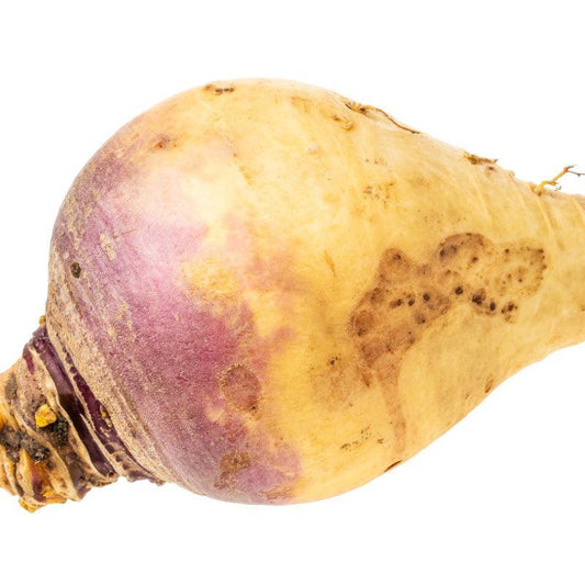 closeup photo of rutabaga