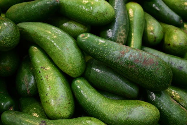 A Close-up of Green Cucumbers