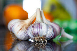 How to Grow Garlic: A Growing Guide