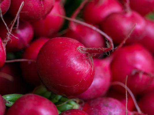 A detailed close-up of vibrant red radishes showcasing their freshness and organic quality