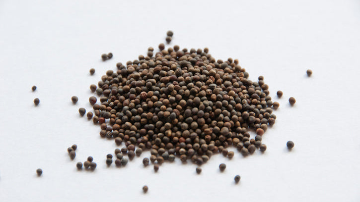 A pile of Broccoli Seeds on a white background