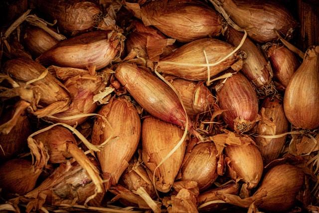 Pile of red shallots