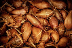 Pile of red shallots