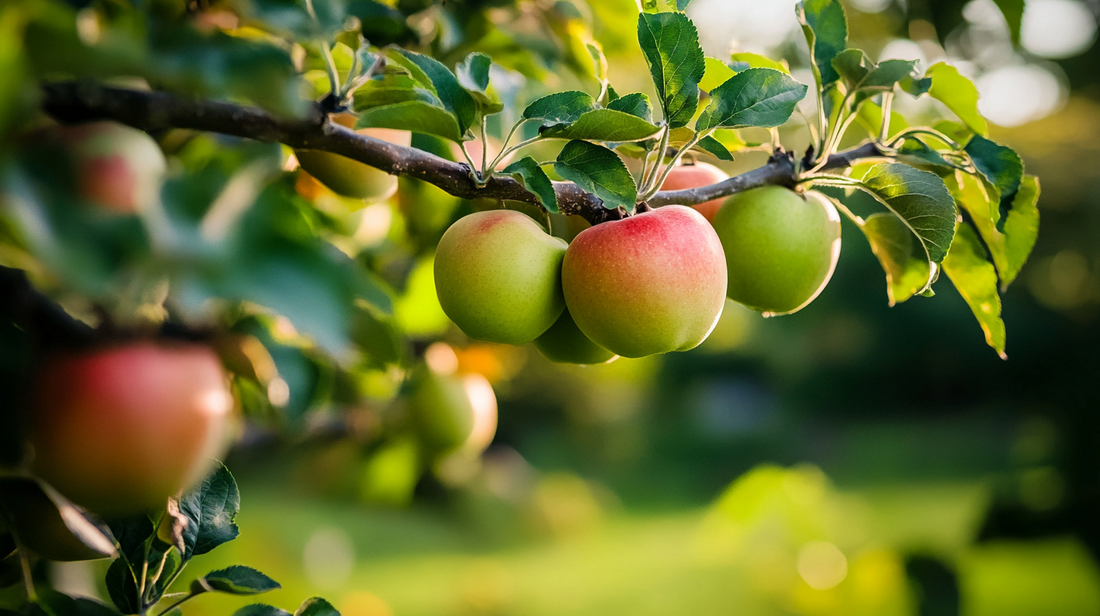 Diagnosing Nitrogen Deficiency and Excess